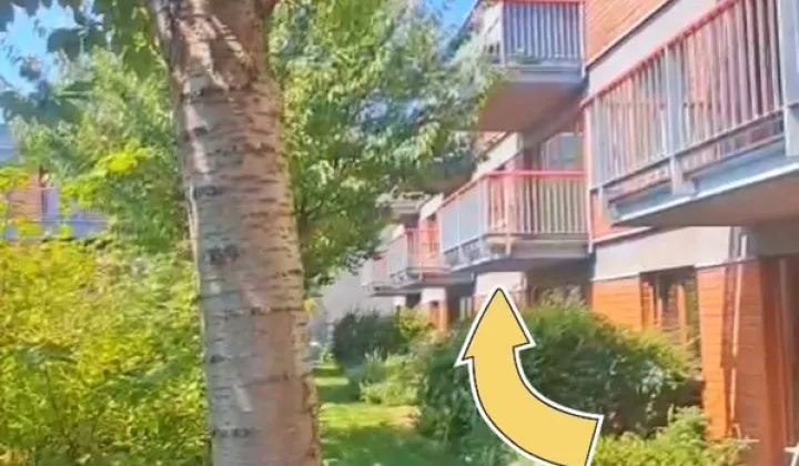 Mieszkanie 2-pokojowe Bielsko-Biała Śródmieście, ul. Cechowa