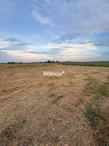 Działka rolna Krzewo. Zdjęcie 4