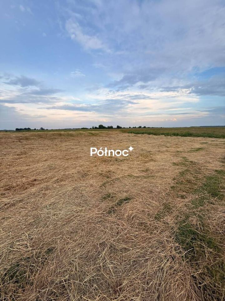 Działka rolna Krzewo. Zdjęcie 4