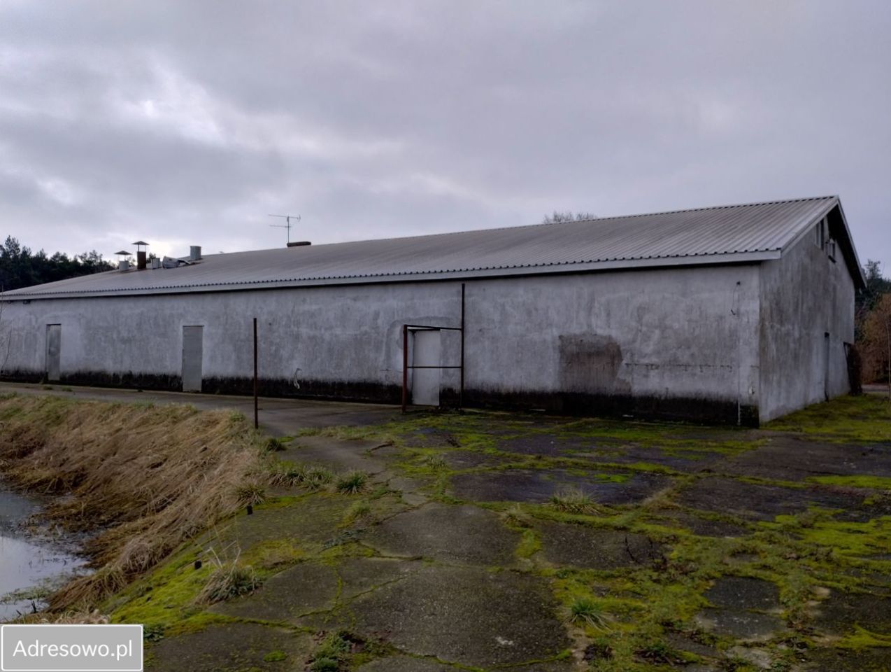 Lokal Dąbrowa-Dzięciel. Zdjęcie 16