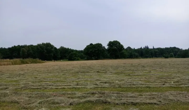 Działka budowlana Kielcza, ul. Opolska