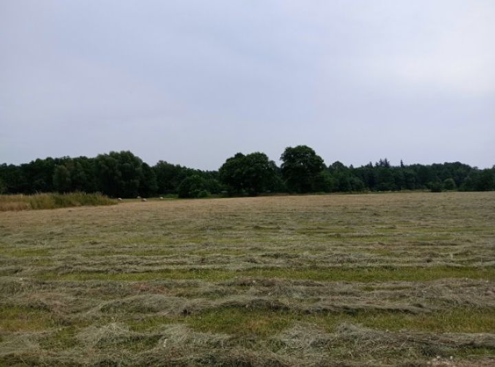 Działka budowlana Kielcza, ul. Opolska