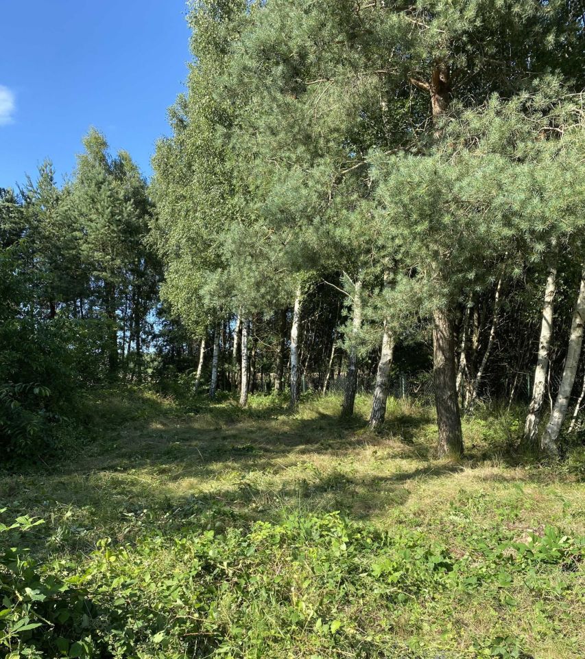 Działka budowlana Mieroszyno, ul. Spacerowa. Zdjęcie 2