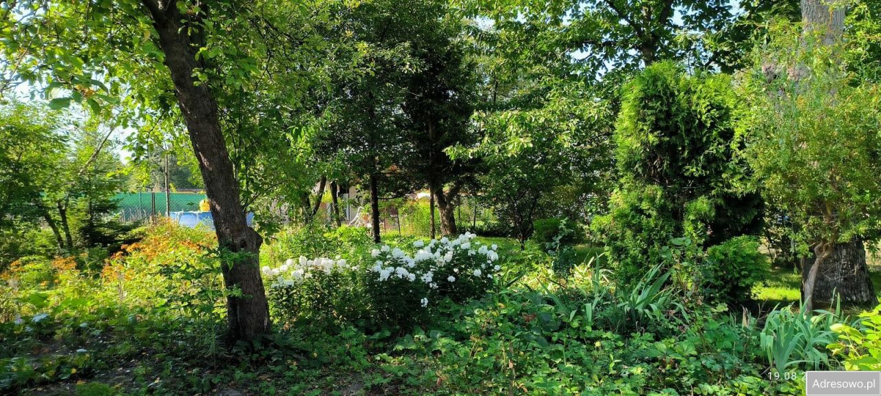 Działka rod Gliwice Wójtowa Wieś, ul. Ku Dołom. Zdjęcie 4