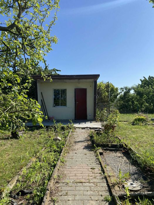 Działka rod Międzychód. Zdjęcie 3