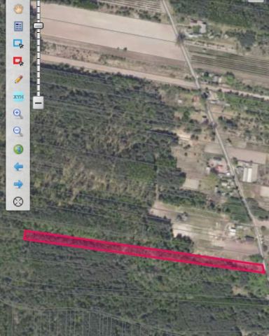 Działka leśna Mieczysławów. Zdjęcie 1