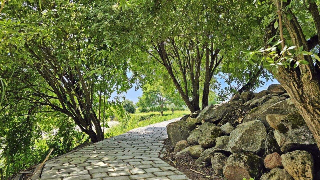 dom wolnostojący, 4 pokoje Grodzisko. Zdjęcie 24