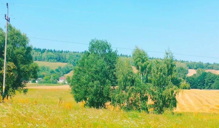 Działka budowlana Sieradowice-Parcele