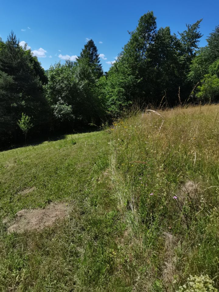 Działka rolno-budowlana Szczawnica Kunie, ul. Kunie. Zdjęcie 6