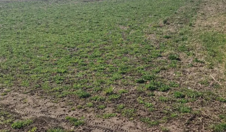 Działka budowlana Łukowa