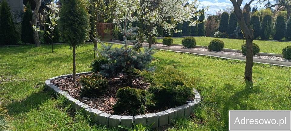 Działka rod Piotrków Trybunalski Belzatka, ul. Gęsia. Zdjęcie 2