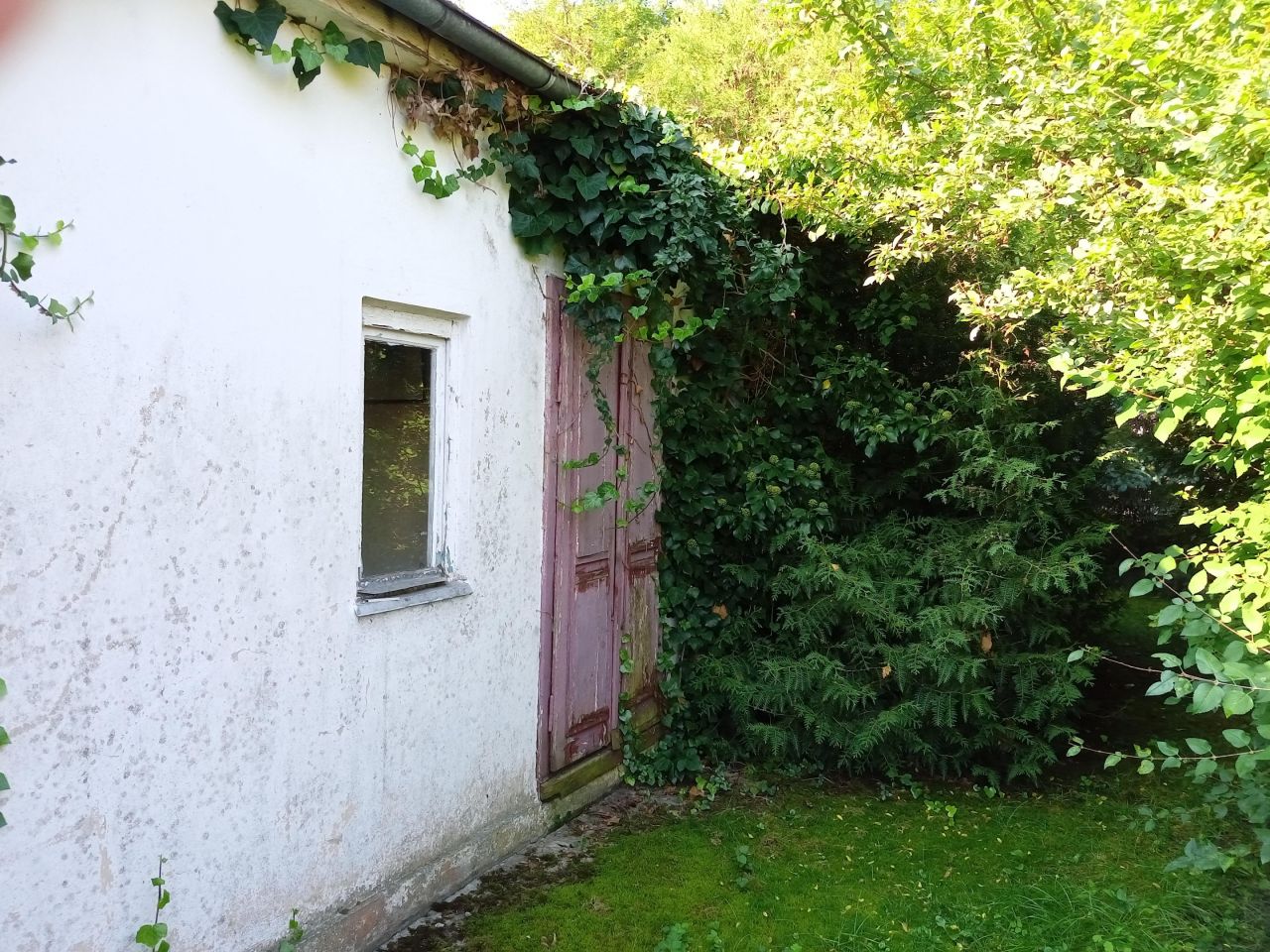 Działka rod Łódź Polesie, ul. Biegunowa. Zdjęcie 14