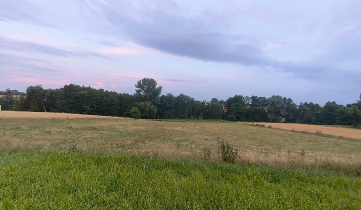 Działka rolna Momina