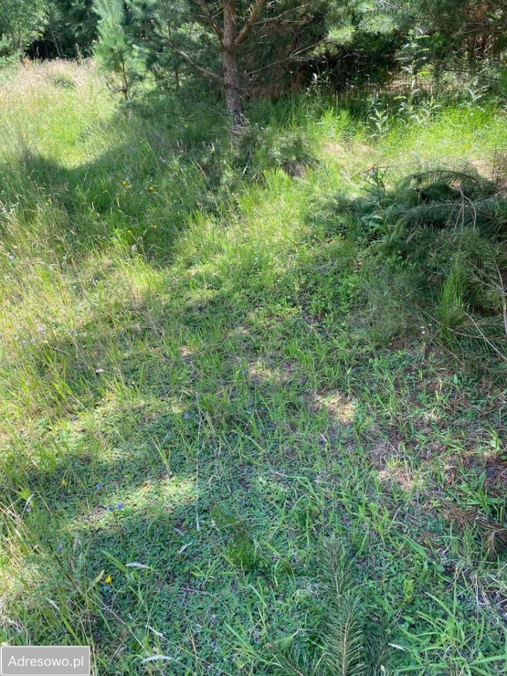 Działka budowlana Tleń. Zdjęcie 4