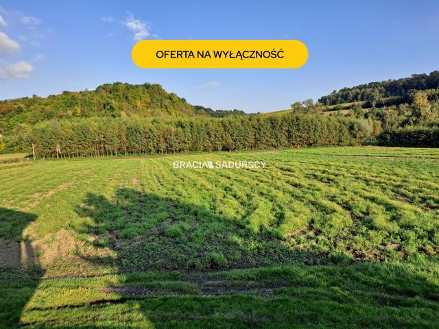 Działka rolna Polekarcice. Zdjęcie 1