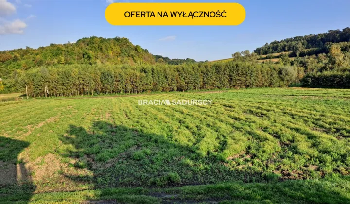 Działka rolna Polekarcice