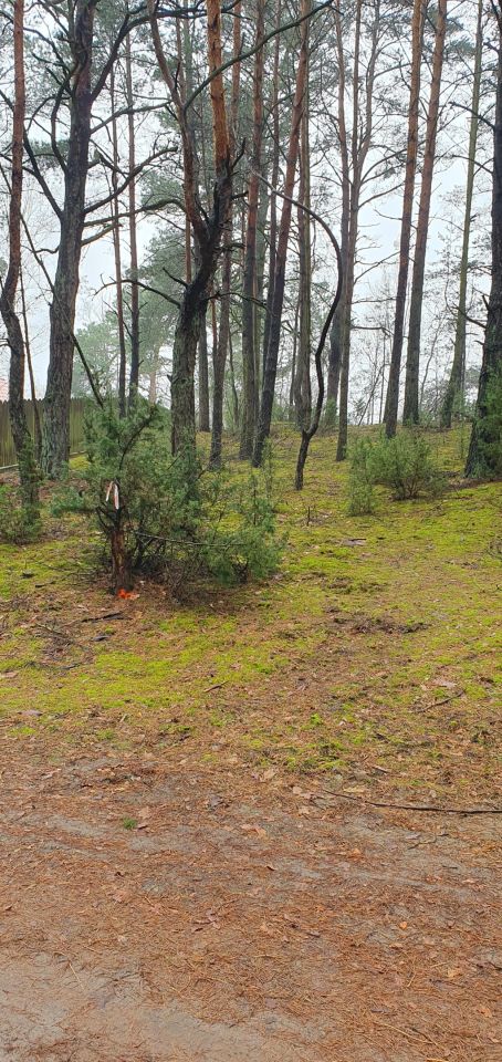 Działka rekreacyjna Nowe Łachy. Zdjęcie 5