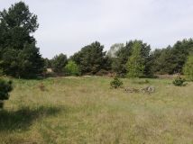 Działka budowlana Skórka. Zdjęcie 4