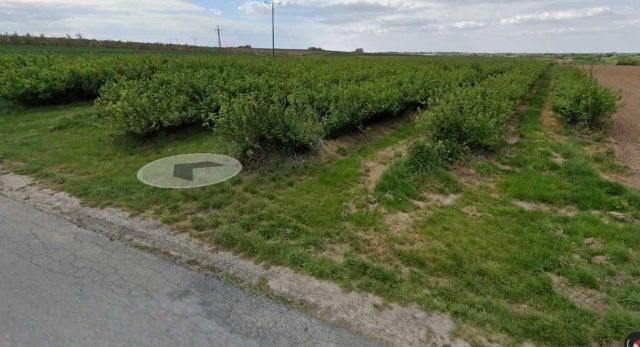 Działka rolna Sucharzów. Zdjęcie 1