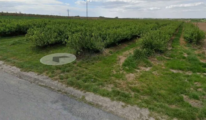 Działka rolna Sucharzów