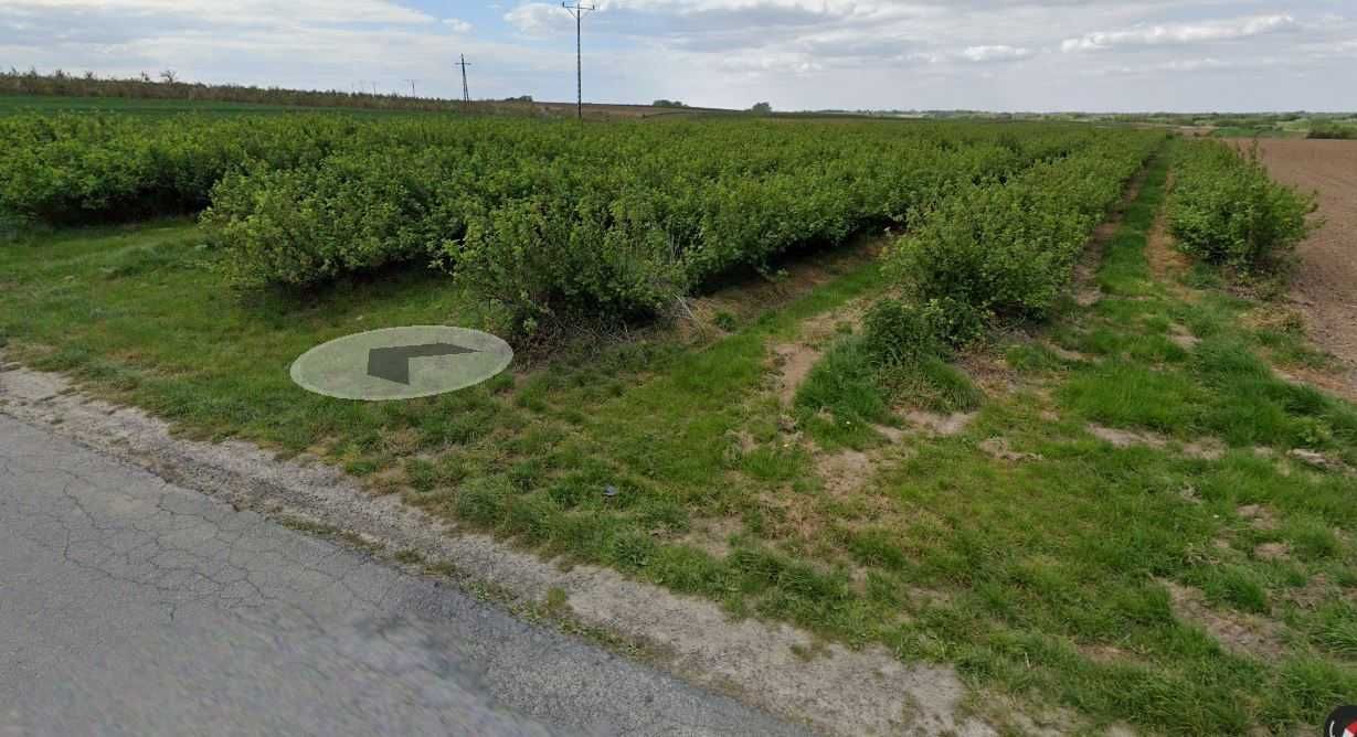 Działka rolna Sucharzów