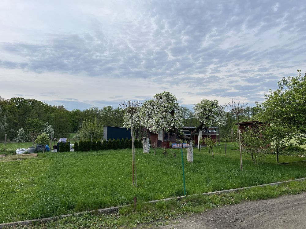 Działka rod Sieraków. Zdjęcie 3