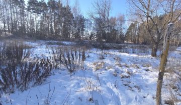 Działka rekreacyjna Czapla, Wiesiółka