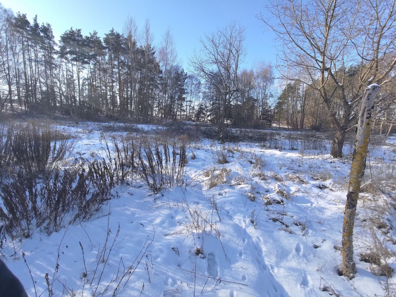 Działka budowlana Czapla. Zdjęcie 2