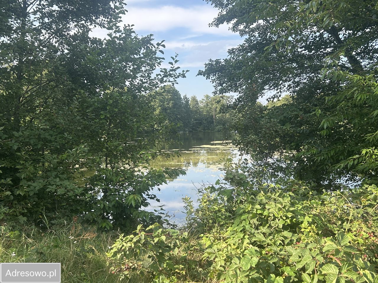 Działka budowlana Dąb Mały, ul. Dębowa. Zdjęcie 5