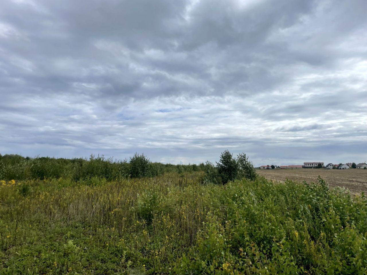 Działka budowlana Połchowo, ul. Polna. Zdjęcie 4