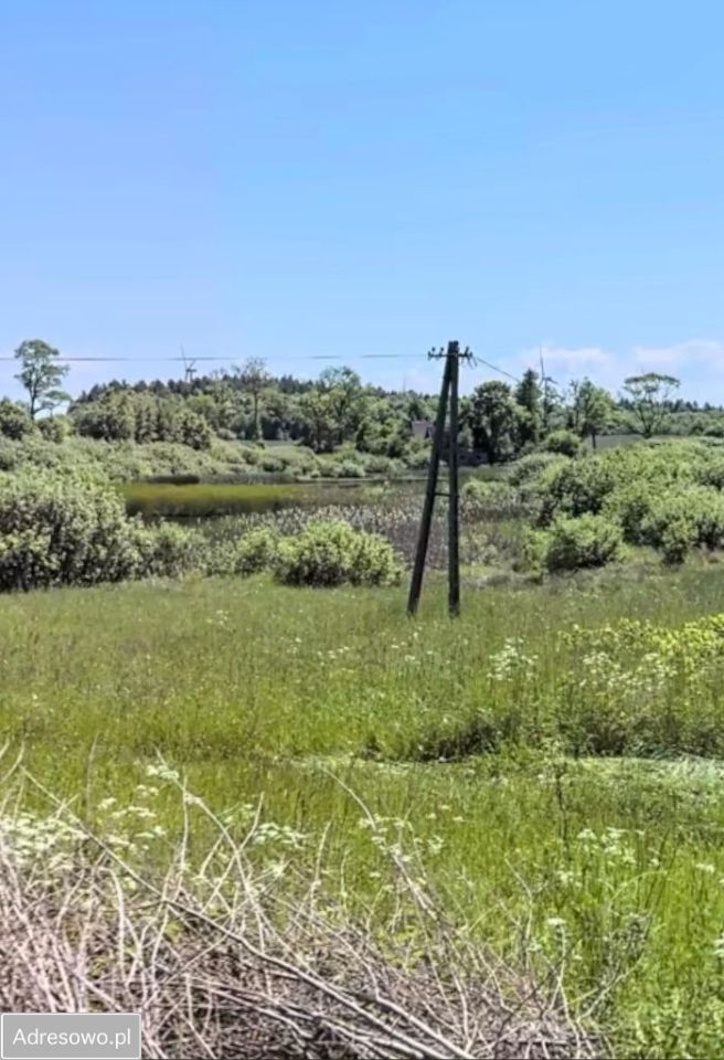 Działka budowlana Maszewko. Zdjęcie 8