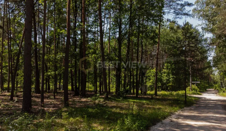 Działka budowlana Sękocin-Las, ul. Księżnej Zofii Czetwertyńskiej