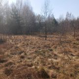 Działka rolno-budowlana Dąbrowa. Zdjęcie 2