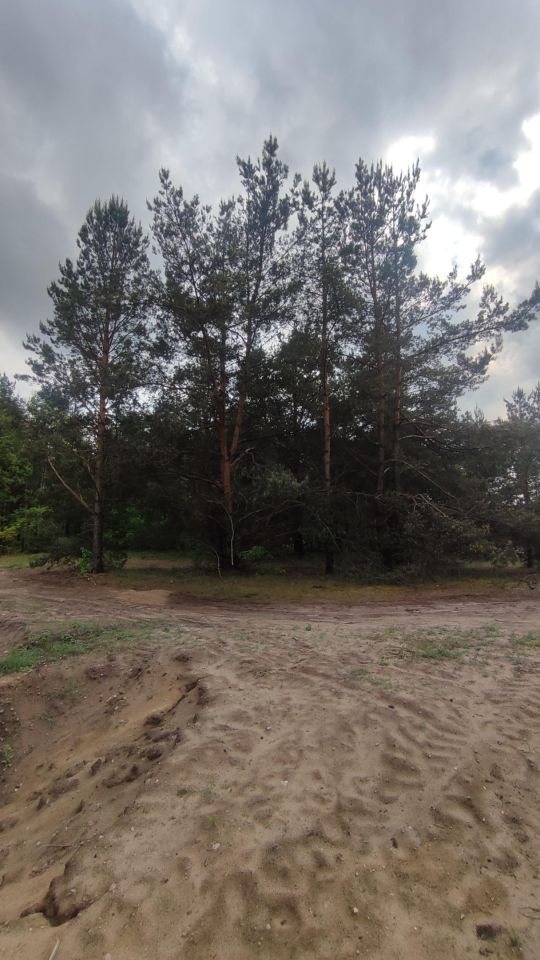 Działka rolno-budowlana Czarna Woda, ul. Wiśniowa. Zdjęcie 2