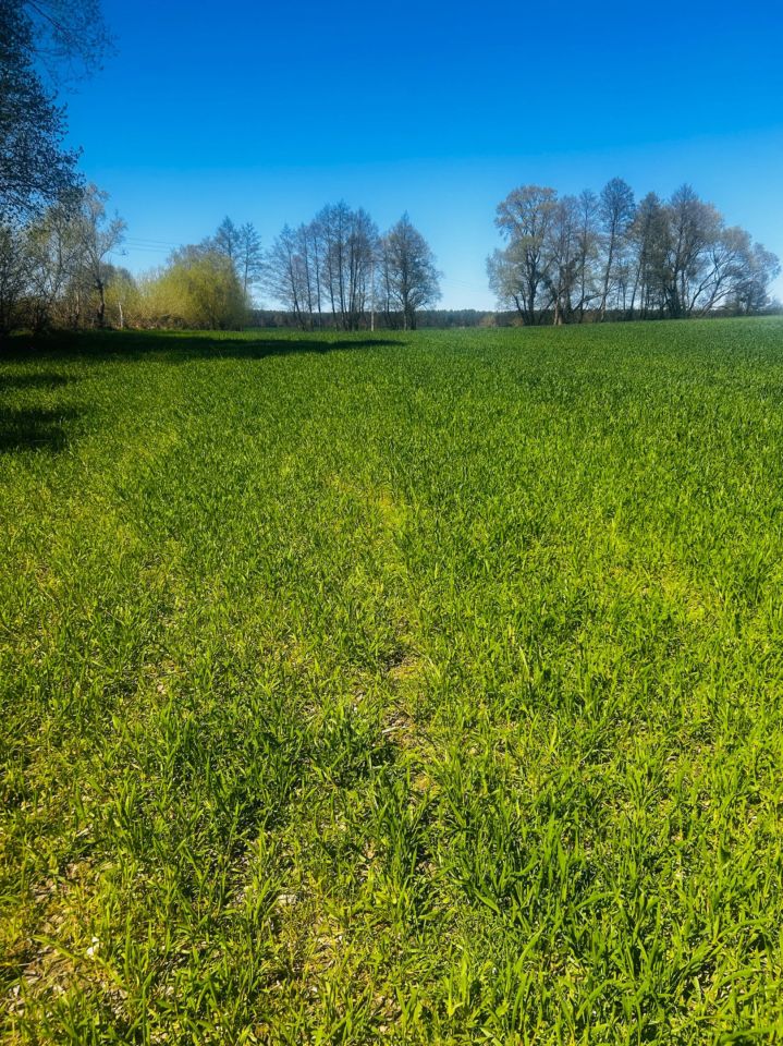 Działka rolna Zwierzyn. Zdjęcie 4