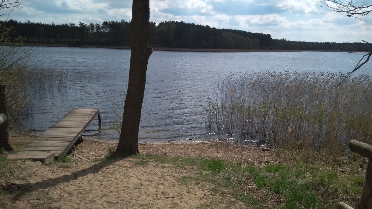 siedlisko, 5 pokoi Łąkie, ul. Podstawowa. Zdjęcie 22