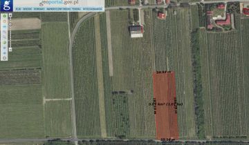 Działka rolna Nietrzeba