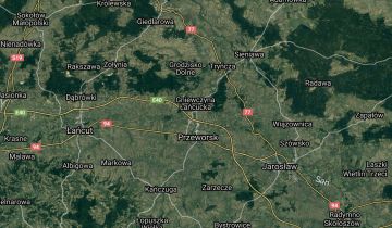 Działka leśna Gorliczyna Pod Sośniną. Zdjęcie 1