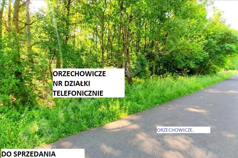 Działka leśna Orzechowicze