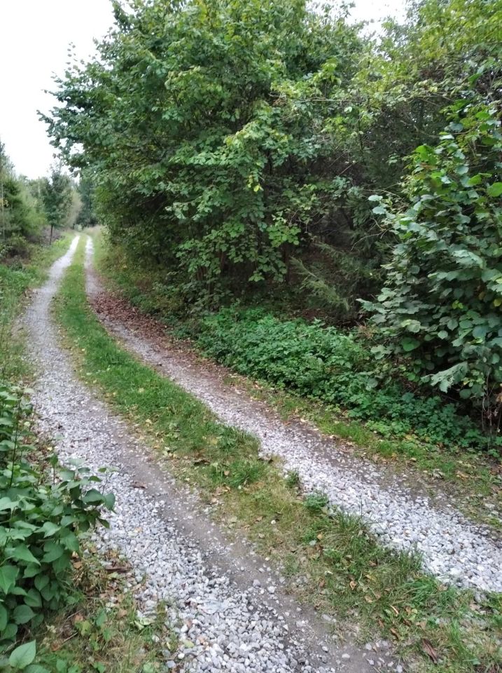 dom wolnostojący, 3 pokoje Łopiennik Podleśny. Zdjęcie 7