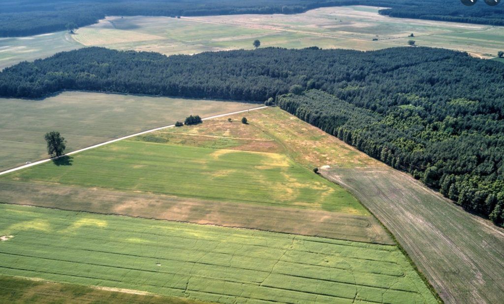 Działka budowlana Paruszka. Zdjęcie 2