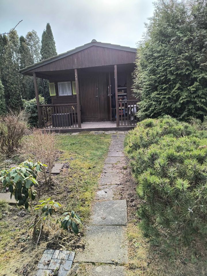 Działka rod Łódź Bałuty, ul. Hodowlana. Zdjęcie 3