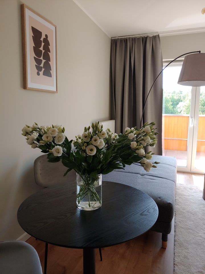 Mieszkanie 1-pokojowe Katowice Brynów, ul. Meteorologów