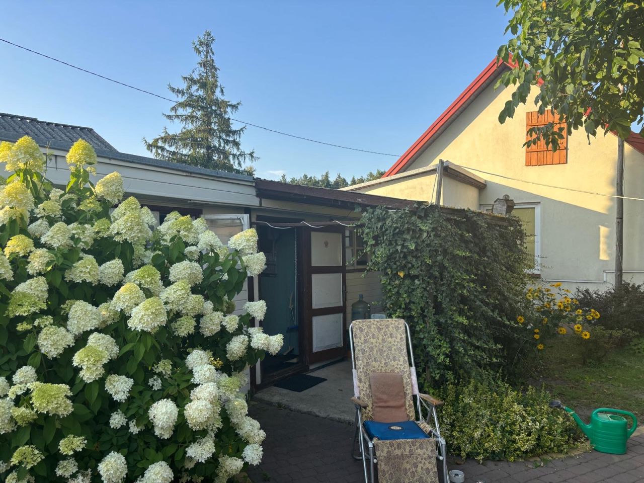 Działka siedliskowa Zieleniec. Zdjęcie 10