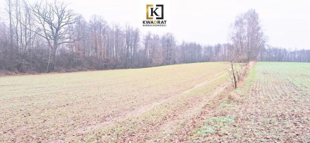 Działka budowlana Latowicz. Zdjęcie 2