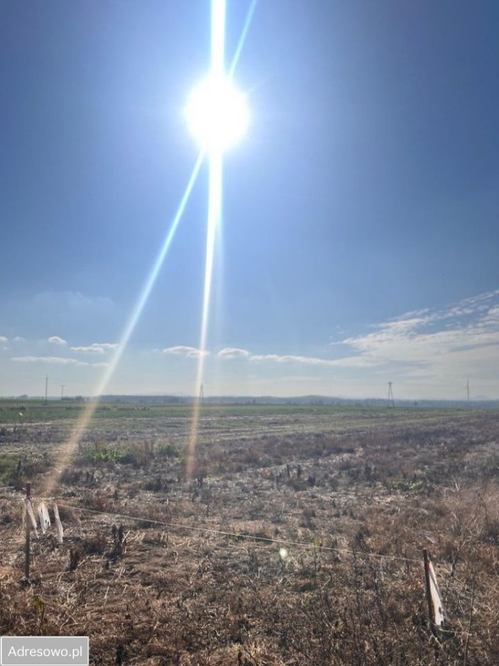 Działka budowlana Udanin. Zdjęcie 3