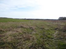 Działka rekreacyjna Koclin. Zdjęcie 4