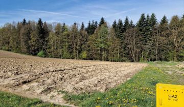 Działka rolno-budowlana Osiek Osiek Górny, ul. Grunwaldzka