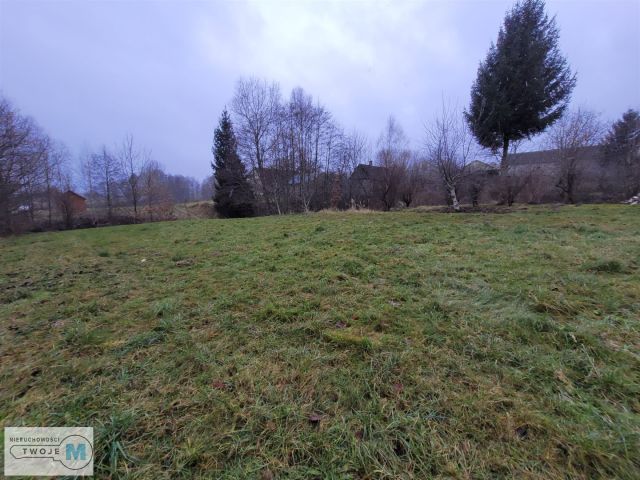 Działka rolna Bodzentyn. Zdjęcie 2