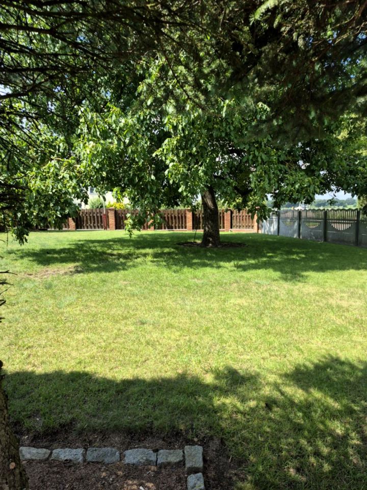 dom wolnostojący, 3 pokoje Grabowo. Zdjęcie 14